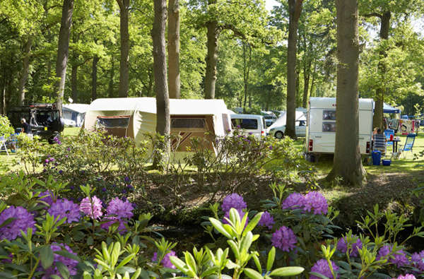 Der perfekte Strandurlaub in Holland Ferienpark Duinrell